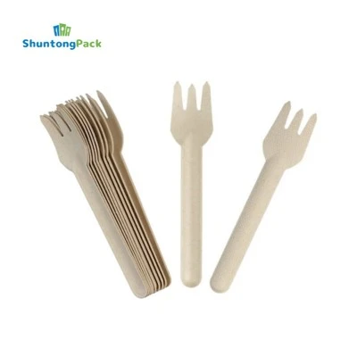 Kompostierbare Zuckerrohr-Bagasse-Gabel